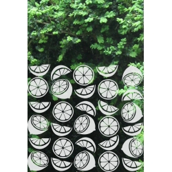 ROS70 50x47 naklejka na okno wzory roślinne - cytrusy